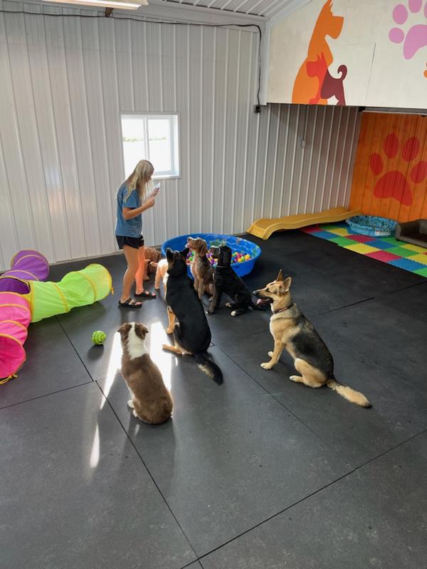 Butler's Charcoal Ridge Doggy Daycare and Grooming Albia, IA